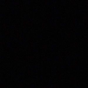 Meet your Posher, Hector